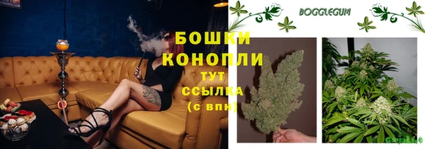 ГАЛЛЮЦИНОГЕННЫЕ ГРИБЫ Лабытнанги