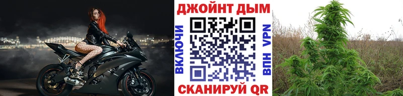 где найти   Суровикино  Шишки марихуана конопля 